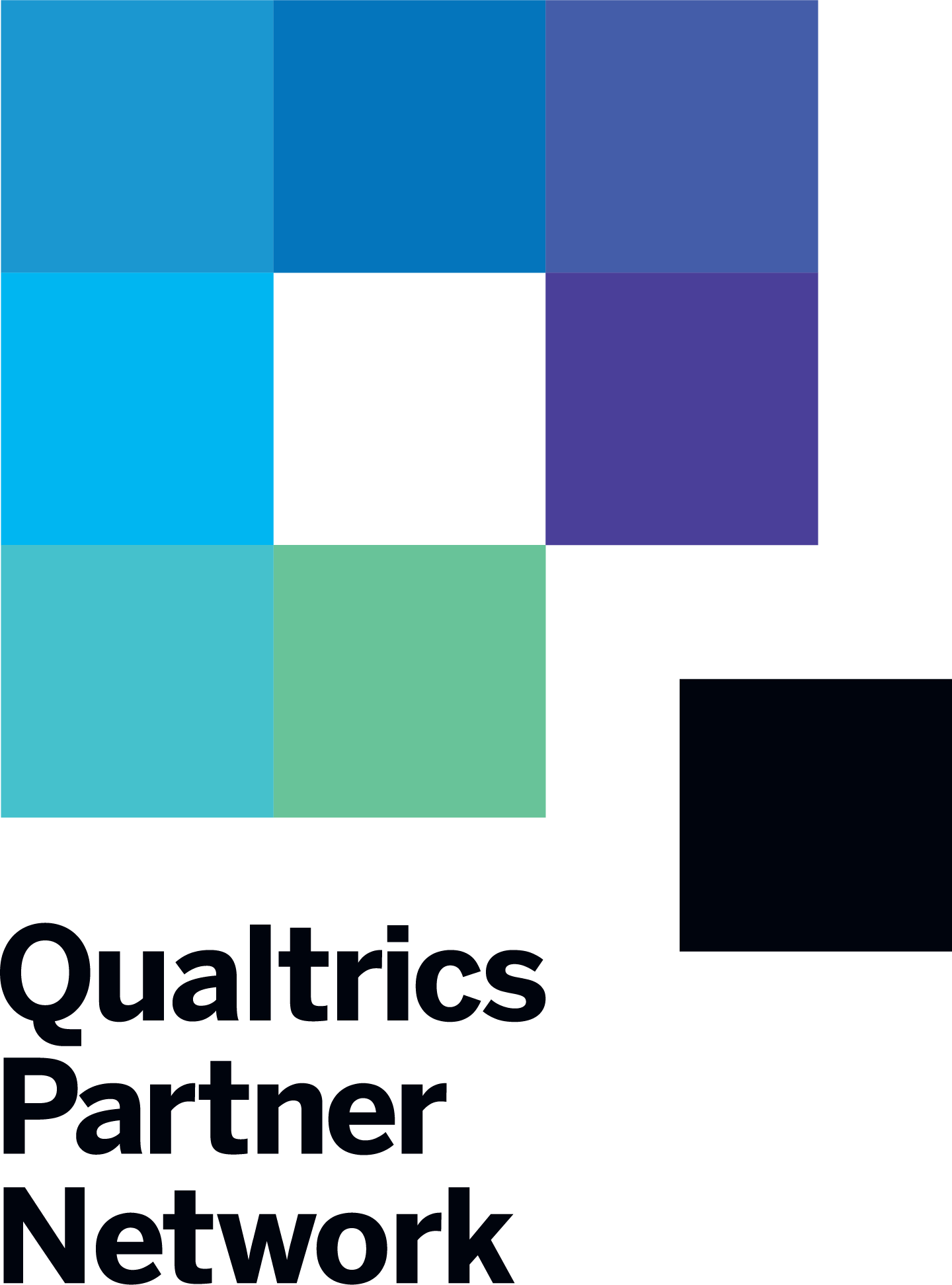 Qualtrics Logo